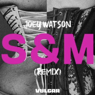 Sam Smith & Madonna - Vulgar (Joey Watson Remix)