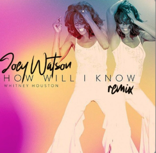 Whitney Houston - How Will I Know (Boy Joey Remix)